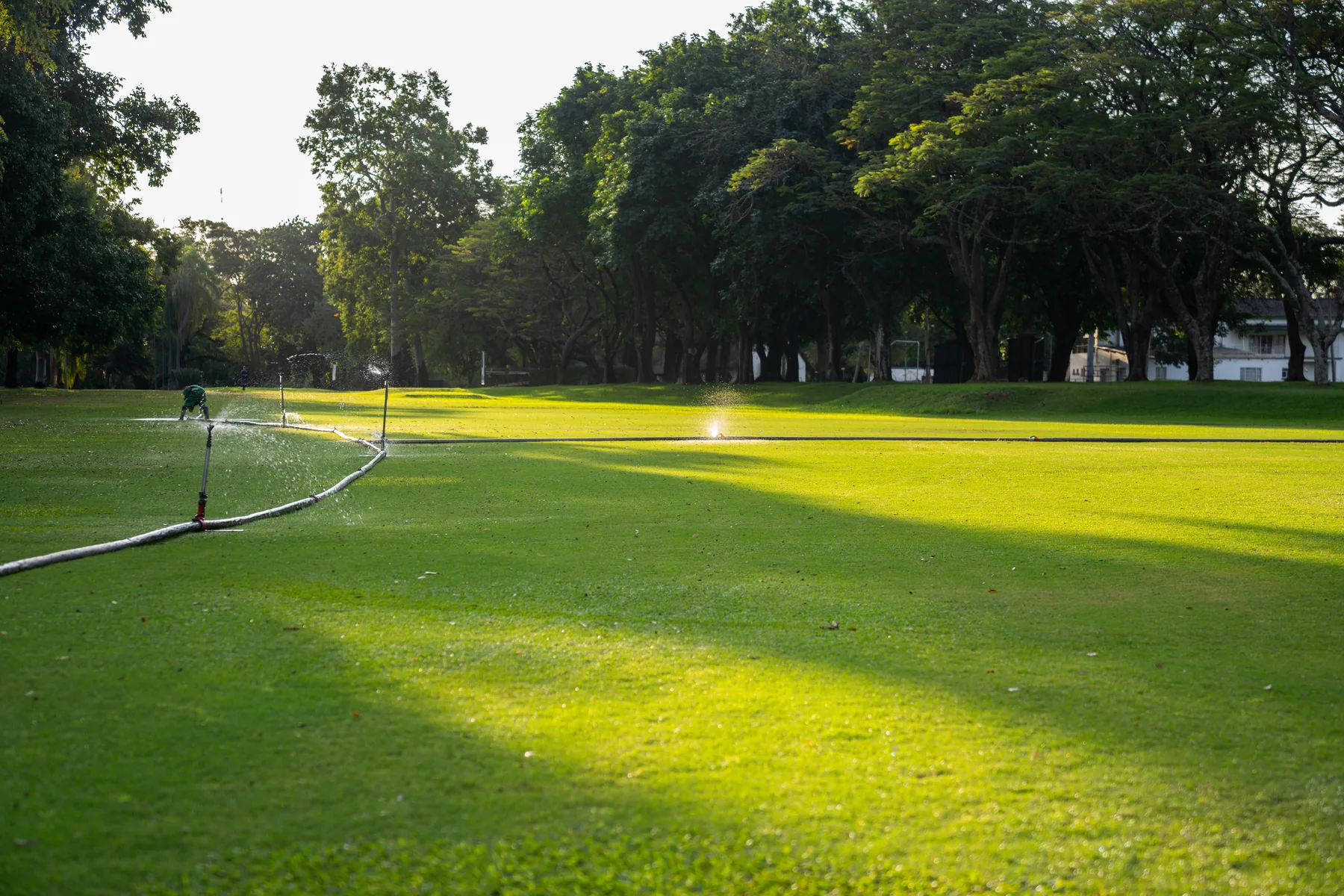 Greens kept immaculate